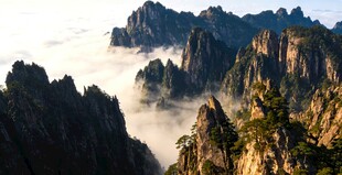 黄山云海奇峰壮丽景观