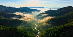 白云山山间云海美景