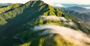 白云山山间云海环绕的翠绿山峦