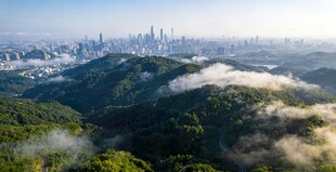 白云山山城云雾缭绕的天际线
