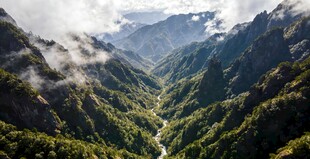 罗浮山山间云雾缭绕的壮美峡谷