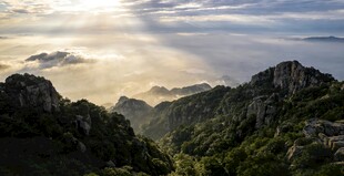 山间云海日出壮丽景观
