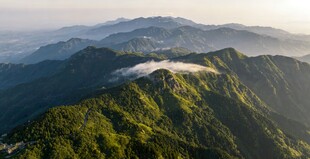 山峦绿意云海缭绕美景