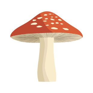 蘑菇插画