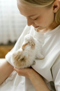 女子温柔抱可爱小猫咪