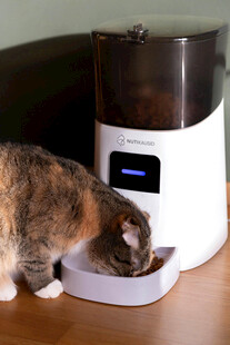 猫咪正在使用自动喂食器
