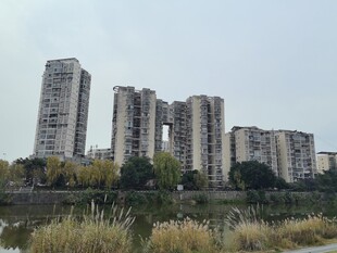 城郊高楼与周边自然景观