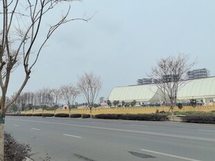 城郊空旷道路旁的建筑景观