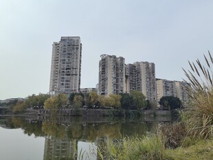 湖畔高楼景观