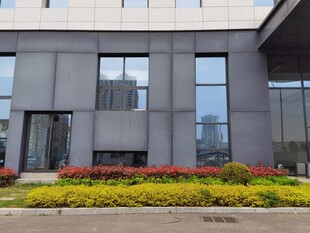 现代办公楼前多彩绿植景观