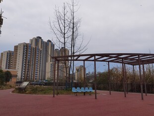 城市公园中的休闲场景
