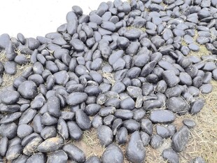 黑色鹅卵石特写