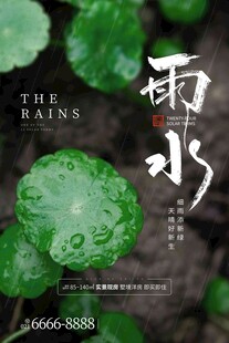 雨水海报