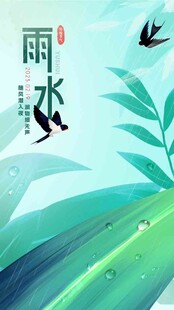 雨水海报