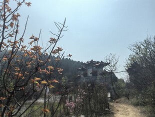 中式园林景致