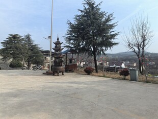 乡村开阔场地与树木景观