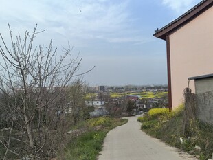 乡村小径旁的房屋与远景