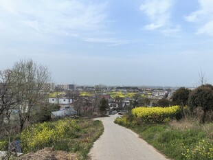 春日乡间小路田园美景