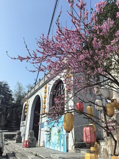古建桃花相映成趣