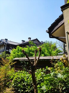 中式庭院