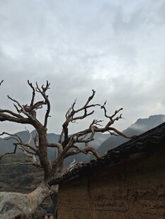 后畲村