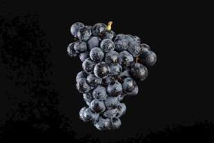 一串紫葡萄特写