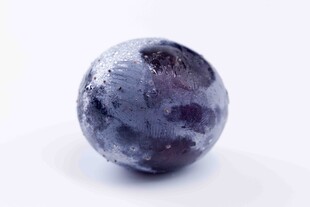 紫黑色新鲜葡萄果实