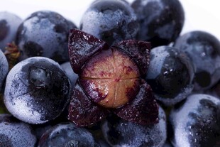 紫黑色饱满多汁新鲜葡萄