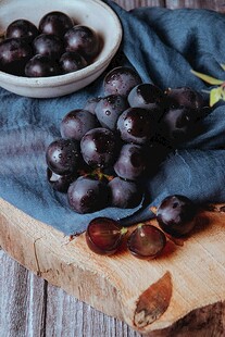 紫葡萄