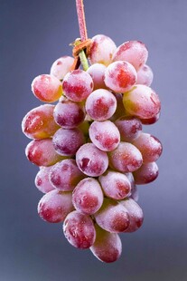 一串色泽诱人的新鲜葡萄