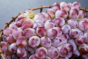 葡萄