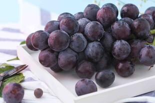 新鲜紫葡萄摆放在白色托盘
