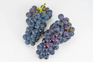 两串紫葡萄特写