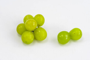 青葡萄