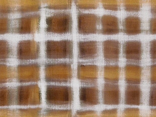 棕色格纹织物纹理特写