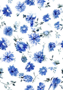 蓝白花卉图案清新雅致
