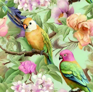 花鸟图中多彩鹦鹉