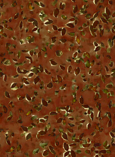 红色背景上的绿色细碎物