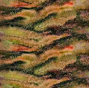 斑斓纹理的独特植物图案