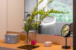 窗边清新绿植装饰小景