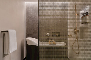 现代简约风格的精致浴室