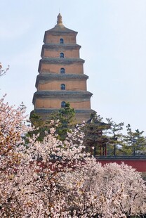 春日下繁花簇拥的大雁塔
