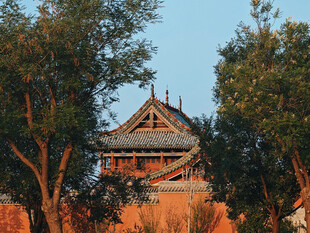 古建楼阁隐于葱郁树木间