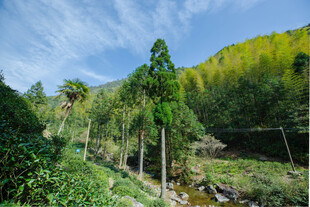 山林溪流间的清新自然景