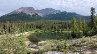 山间翠绿森林与清澈小湖