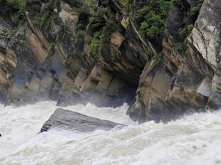 湍急河流中的漂流木