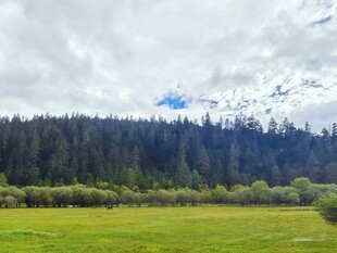 绿野山林间的自然美景