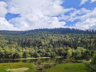 山林绿野间的自然美景