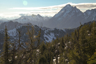 雪山森林壮丽自然景观