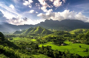 山间绿野美景